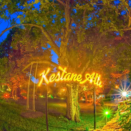 Kirkpinar 3* Sapanca